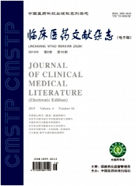 《临床医药文献杂志》