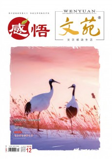 《文苑》