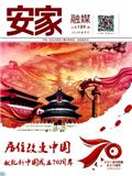 《安家》