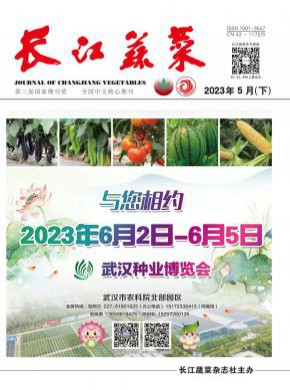《长江蔬菜》